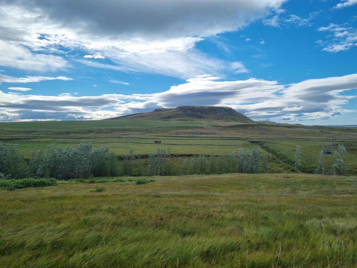 Kambar Villa Selfoss Exterior foto